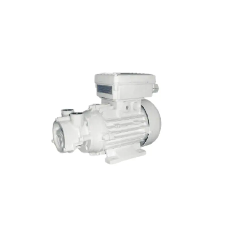 自己吸引式電動ポンプ CP 20 G、230V 単相、50/60 Hz、0.25 kW 2800 g/min – コード：01ACP202GW – Gianneschi Pumps and Blowers