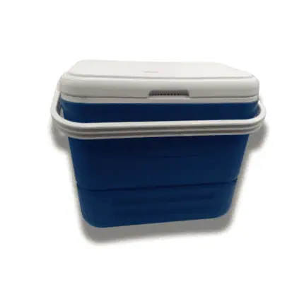 Tragbare Kühlbox mit 36 Litern, ideal zur Aufbewahrung von Lebensmitteln und kalten Getränken.