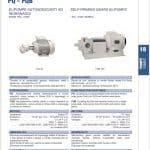 Selbstansaugende Pumpe PQ 30GH, 24 V DC, 0,75 kW, für industrielle Anwendungen.