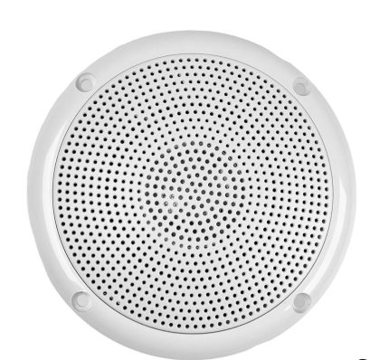 Casse doppio cono potenza 100w - codice: L4606070 - Trem